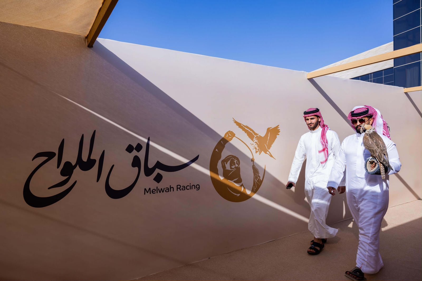 Al-Malwah Race to Begin at Saudi Falcons and Hunting Exhibition 2026